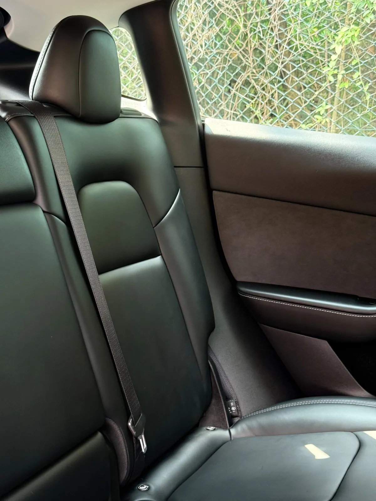 TESLA MODEL Y RWD