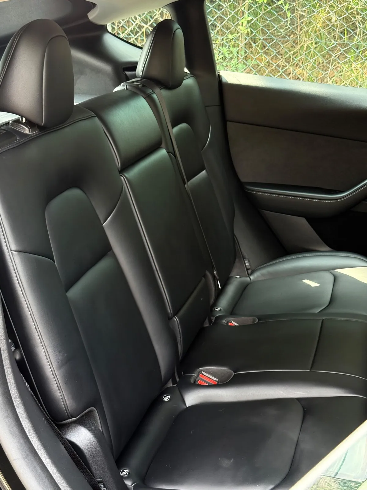 TESLA MODEL Y RWD